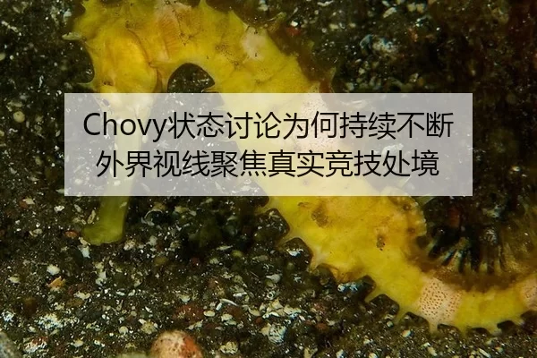 zhuang-tai-tao-lun-wei-he-chi-xu-bu-duan-wai-jie-shi-xian-ju-jiao-zhen-shi-jing-ji-chu-jing-2-327.jpg